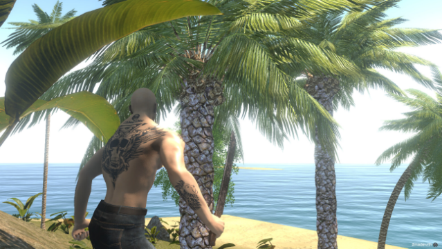 Stranded B Gameplay Screenshot